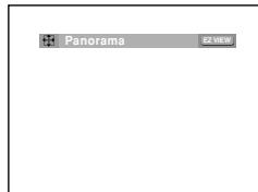 Panorama EZ VIEW