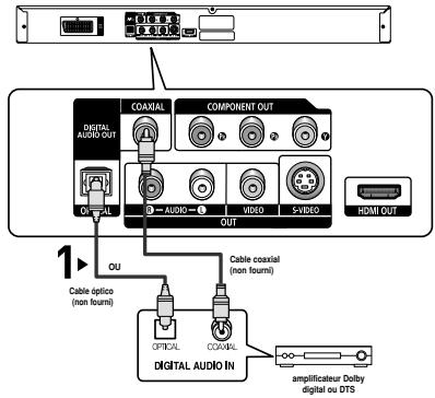 COASTAL COMPONENT OUT DIGITAL AUDIO OUT OFF-PAL AUDIO VIDEO S-VIDEO HDMI OUT 1 OU Cable oplice (non fourmi) Cable coaxial (non fourmi) OPTICAL COASTAL DIGITAL AUDIO IN amplificateur Dolby digital ou DTS