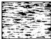 SONY SLV-E730NP - Symptome bei verschutzten Videoköpfen - 4
