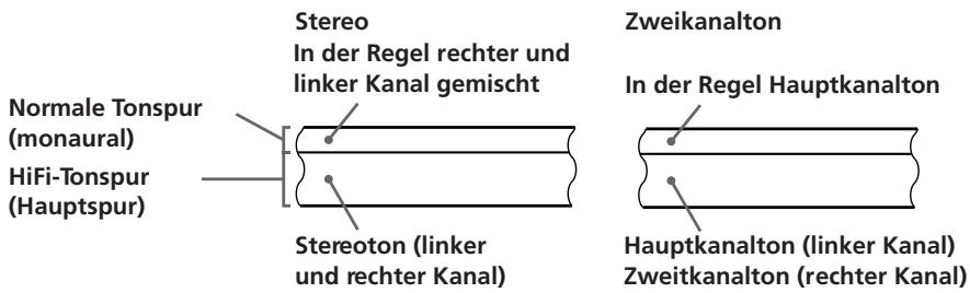 SONY SLV-E730NP - Wie wird der Ton auf dem Videoband aufgezeichnet? - 1