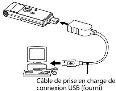 SONY ICD-UX81 - Conseil - 1