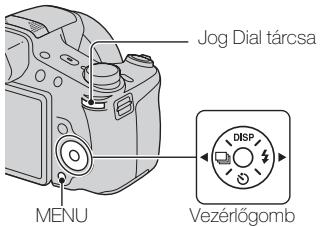 SONY CYBER-SHOT DSC-HX100 - Egyéb funkciok bemutatása - 1
