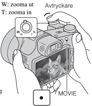 SONY CYBER-SHOT DSC-HX100 - Tagning av stillbilder/inspelning av filmer - 2