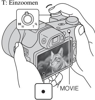 SONY CYBER-SHOT DSC-HX100 - Aufnahme von Standbildern/Filmen - 2