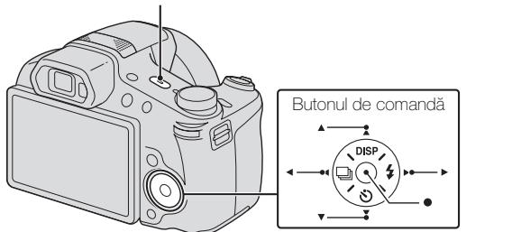 SONY CYBER-SHOT DSC-HX100 - Fixarea orei - 1