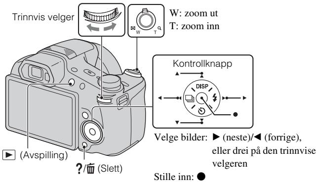SONY CYBER-SHOT DSC-HX100 - Vise Bilder - 1