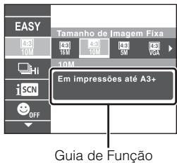 SONY CYBER-SHOT DSC-HX100 - Introdução de outras funções - 2