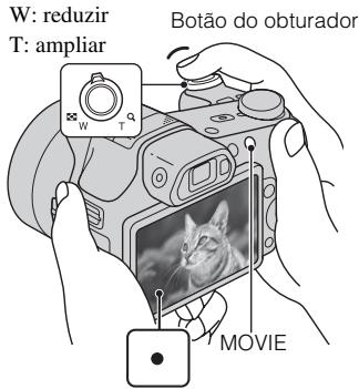 SONY CYBER-SHOT DSC-HX100 - Captação de imagens fixas/filmes - 2