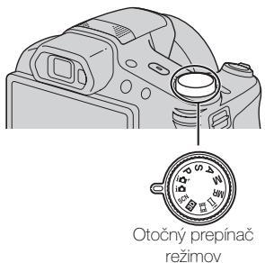 SONY CYBER-SHOT DSC-HX100 - Snímanie statickych záberov a videoozáznamov - 1