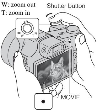 SONY CYBER-SHOT DSC-HX100 - Shooting still images/movies - 2