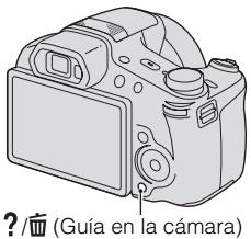 SONY CYBER-SHOT DSC-HX100 - Guía en la-camera - 1