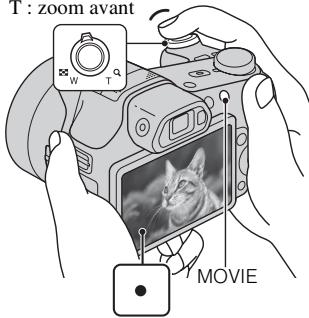 SONY CYBER-SHOT DSC-HX100 - Prise de vue d'images fixes/films - 2