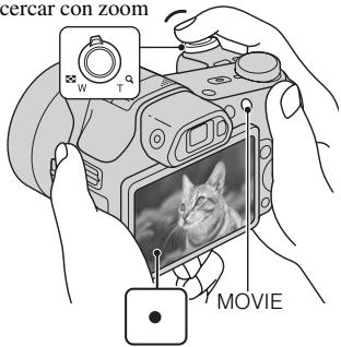 SONY CYBER-SHOT DSC-HX100 - Toma de imágenes fijas/películas - 2
