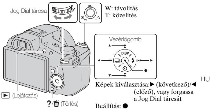 SONY CYBER-SHOT DSC-HX100 - Képek megtekintése - 1