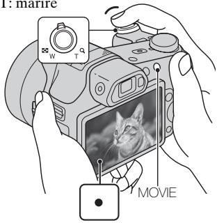 SONY CYBER-SHOT DSC-HX100 - Realizarea de fotografiai statice /这部电影 - 2