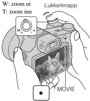 SONY CYBER-SHOT DSC-HX100 - Ta stillbilder/ta opp film - 2