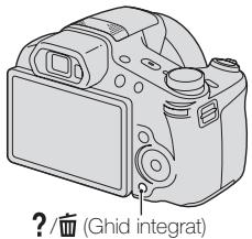SONY CYBER-SHOT DSC-HX100 - Ghid integrat - 1
