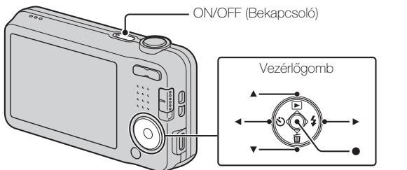 SONY CYBER-SHOT DSC-W710 - Megjegyzések - 1