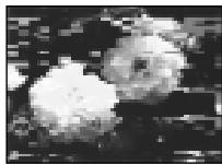 SONY DCR-TRV230E - PnBocnpon3BeHenn/3aPiNcB uΦpOBoCnCTeme Digital8 - 1