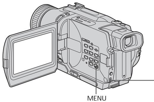 SONY DCR-TRV230E - IcnoJb3OBaHne cpeuaJIbHbIX 3ΦΦeKTOB - ΘΦΦeKT n3o6paXeHnA - 1
