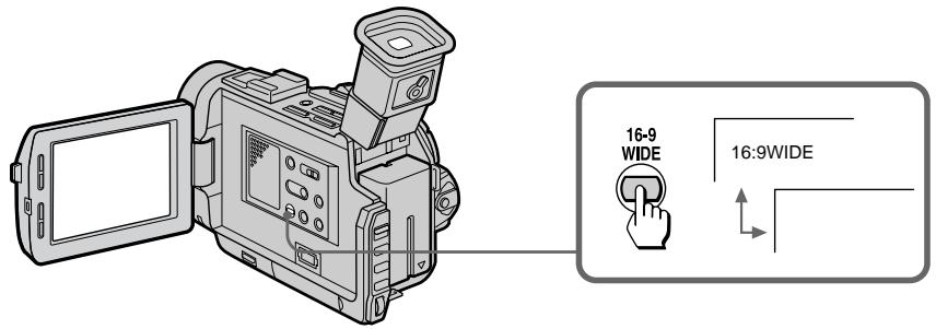 SONY DCR-TRV7 - Uso de la referencia de modo panoramaico - 2