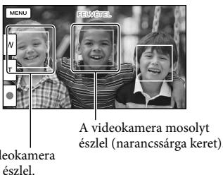 SONY HDR-PJ780E - Mosoly automatikus rögzítésé (Mosoly exponálás) - 1