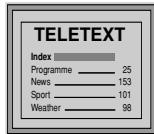 SONY KV-21FT1K - Vstup do teletextu - 1