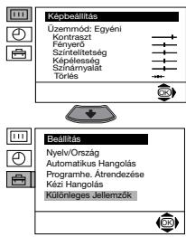 SONY KV-21FT1K - szint / funkció - 1