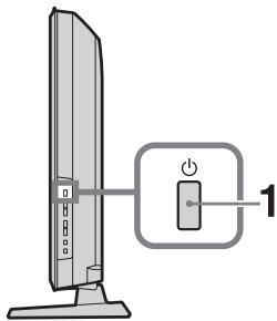 SONY KDL-32P3600 - Visione del teileisore - 1