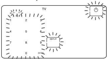 SONY RM-AV2500T - Example: To set up a Philips TV - 4