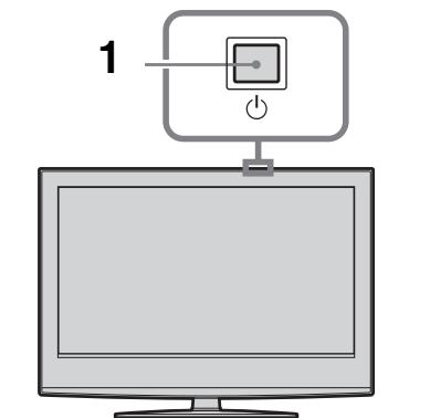 SONY RM-ED007 - Watching TV - 1