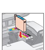 EPSON STYLUS DX4000 - Removing and Installing Ink Cartridges • Retrait et installation des cartouches d'encre • Tintenpatronen entnehmen und einsetzen • Cartridges verwijderen en installeren - 6