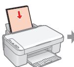 EPSON STYLUS DX4000 - Removing and Installing Ink Cartridges • Retrait et installation des cartouches d'encre • Tintenpatronen entnehmen und einsetzen • Cartridges verwijderen en installeren - 13