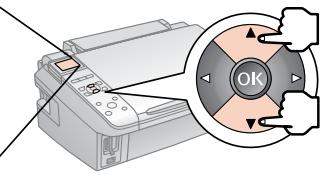 EPSON STYLUS DX7400 - Start Here • Démarrez ici • Hier starten • Hier beginnen - 16