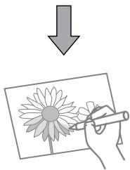 EPSON STYLUS PHOTO TX810FW - Impression sur du papier régle - 3
