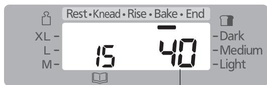 PANASONIC SD-2500WXE - Baking Cake - 7