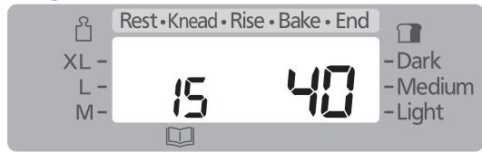 PANASONIC SD-2500WXE - Baking Cake - 5