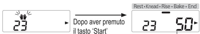 PANASONIC SD-2500WXE - Aggiungere ulteriore burro dopo il segnale acustico, quindi premere di nuovo il tasto 'Start' (Avvio) - 1