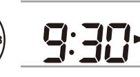 PANASONIC SD-2500WXE - To set the timer - 5