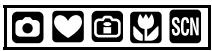 PANASONIC LUMIX DMC-FX12 - Prises de vues avec retardateur - 1