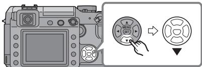 PANASONIC LUMIX DMC-L1K - À propos de ce manuel d'utilisation - 2