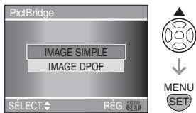 PANASONIC LUMIX DMC-L1K - ■ Image simple - 1