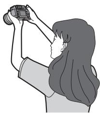 PANASONIC LUMIX DMC-L1K - Prise de vues avec l'appareil photo tenu au-dessus de votre tête (Mode plongée) - 1