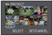 PANASONIC DMCGF3KEG - [PROTECT] (Koruma) - 2