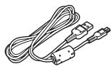 PANASONIC SDR-H250EF - Câble USB - 10