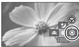 PANASONIC SDR-H250EF - Fonction télé-macro (SDR-H250) - 2