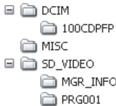 PANASONIC SDR-H250EF - Carte SD - 1