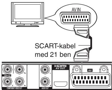 SCART-kabel med 21 ben