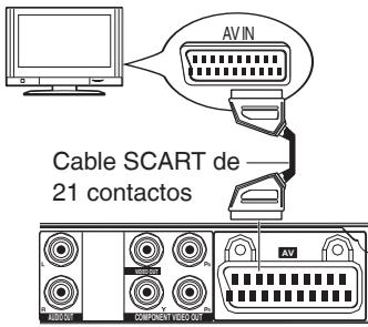 AV IN Cable SCART de 21 contactos