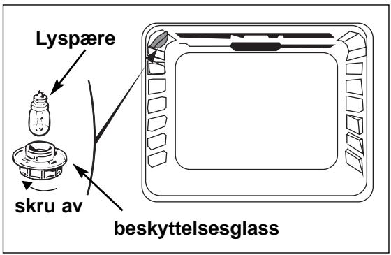 BRANDT FP411XN1 - Skifte lyspære - 1